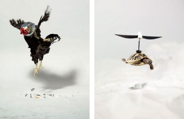 Photography by Emmanuel Pierrot #inspiration #photography #food