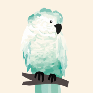 #nordic #design #graphic #illustration #danish #bright #simple #nordicliving #living #interior #kids #room #poster #cockatoo #bird #green