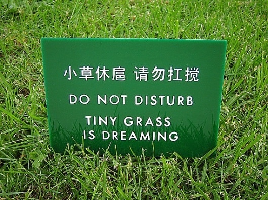 Funny Chinglish / Engrish Sign Tiny Grass is Dreaming by SignFail #sign #fail #engrish