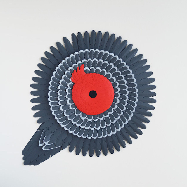 Australian Birds Paper Art #paper #colours