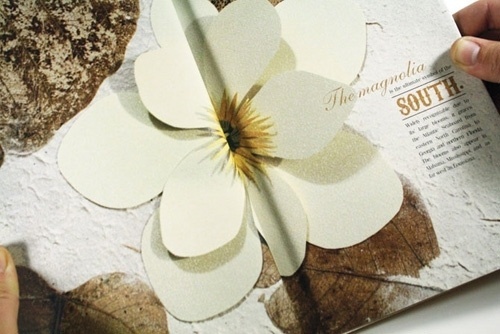 When It Raines: Heather Raines' Portfolio #cut #paper