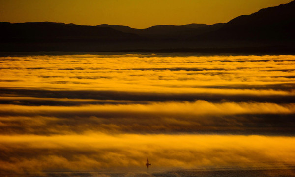 Photo of the Day #inspration #photography #art