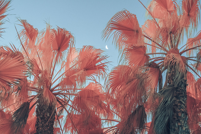 infrared photography | GMUNK