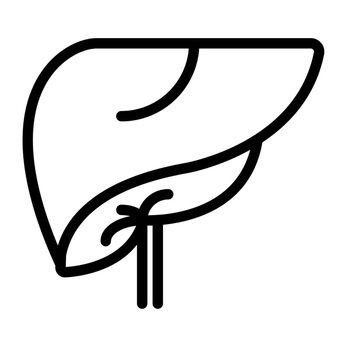 See more icon inspiration related to liver, organ, medical, anatomy and body parts on Flaticon.