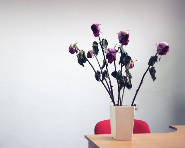 Flower Vase