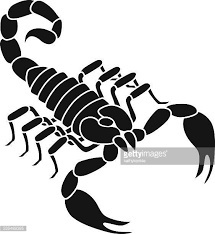 Image result for scorpion vector
