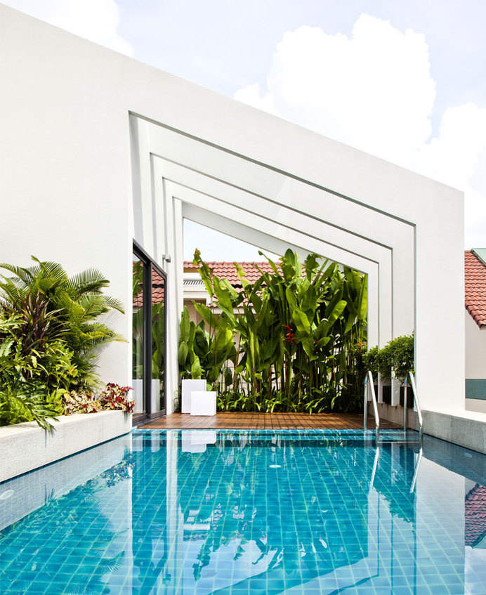 Stylish, Clear Lined NQ House - roof terrace greenery swimming pool #house #greenery #terrace #pool #roof #architecture