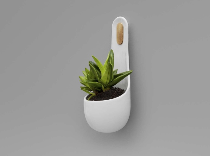 Aqueous Wall Planter