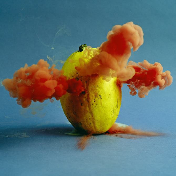 #vegetable #secretlife #blow #photo