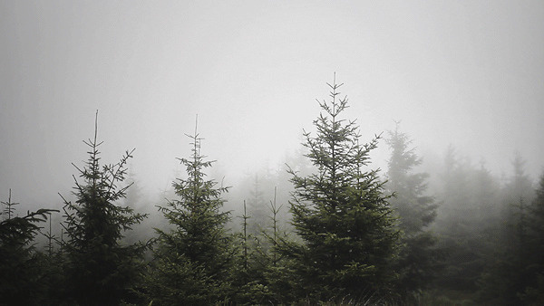#cinemagraph