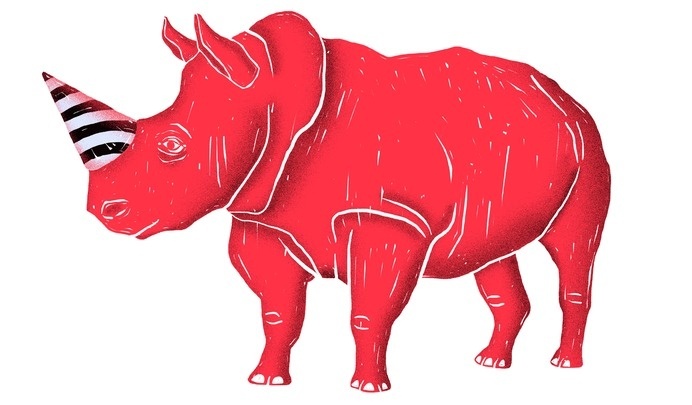 illustration, party animal, rhinoceros