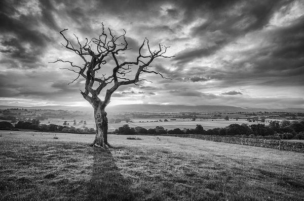 Landscape Photography #inspiration #photography #landscape