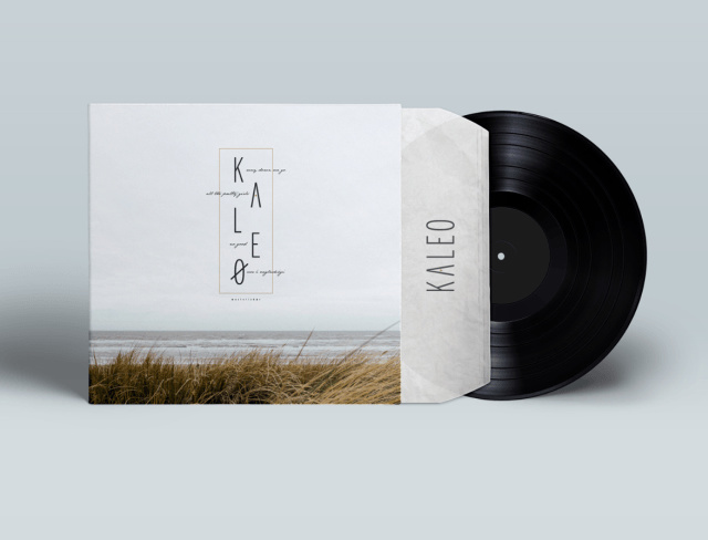 music poster, album art, fan art, music, vinyl, record design, graphic design, album, music art, poster design,