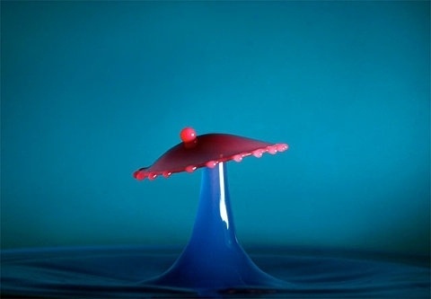 FFFFOUND! #photo #photography