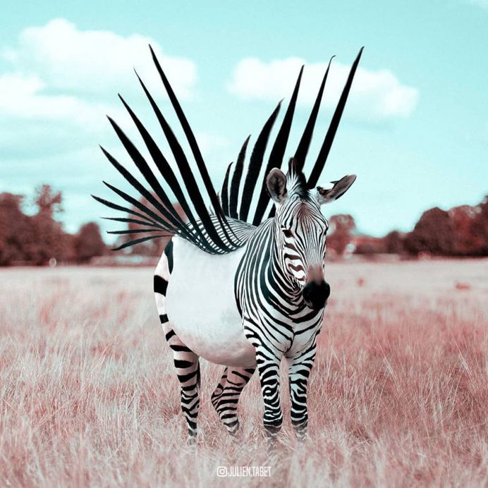 Dreamlike Animals: Whimsical Photo Manipulations by Julien Tabet
