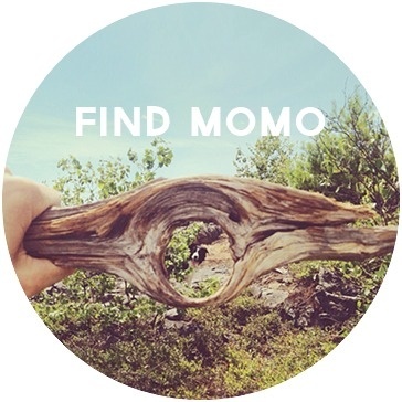find momo #branch #momo #typography #design #graphic #find #dog