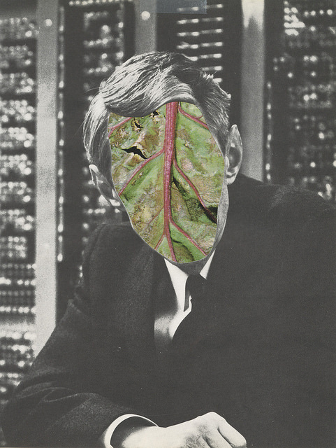 feru-leru:nnletus by austin1227 on Flickr.n #cut #white #leaf #design #black #illustration #shape #collages #vintage #art #and #man #collage #paper #green