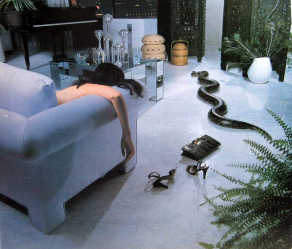 dale_jacobs_and_cobra_st 800x800 #classic #jacobs #snake #dale #photography #80s #fashion #cobra