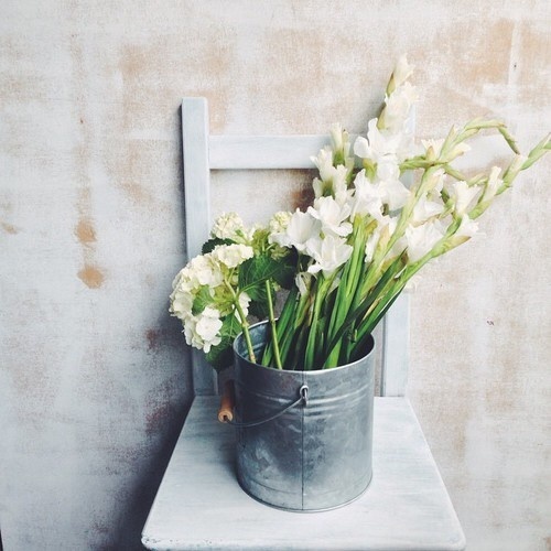 Likes | Tumblr #inspiration