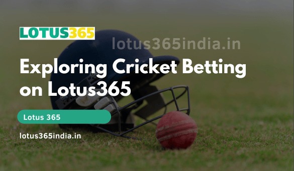 Official Lotus365 Website: https://lotus365india.in/