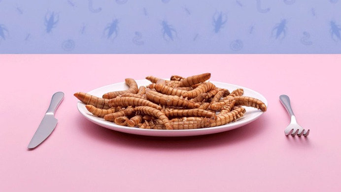 Food for thought - Mindsparkle Mag Studio Mals is the owner of this project which involves 9 online commercial series for Holland's biggest supermarket chain Albert Heijn. #motion #commercial #identity #branding #design #color #photography #graphic #design #gallery #blog #project #mindsparkle #mag #beautiful #portfolio #designer