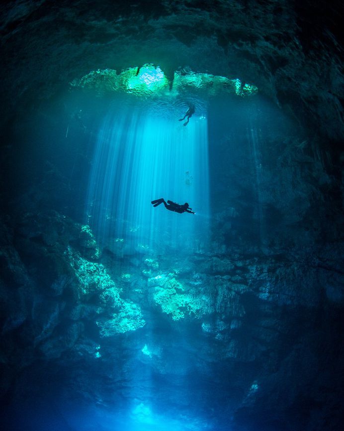 Incredible Underwater Photography by Tom St George