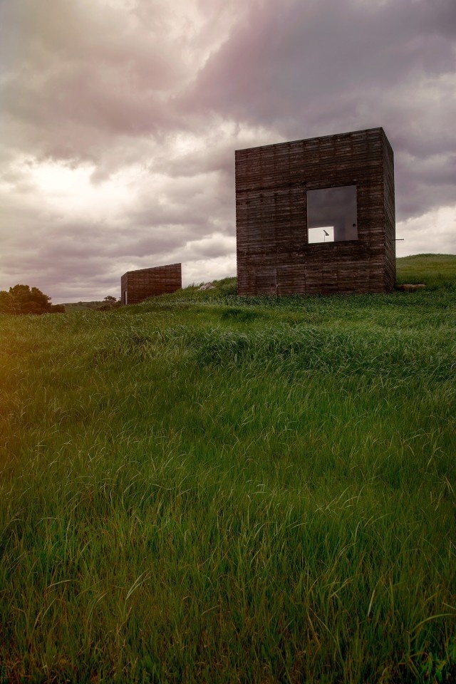 Eyrie: authentic immersion in the wild nature