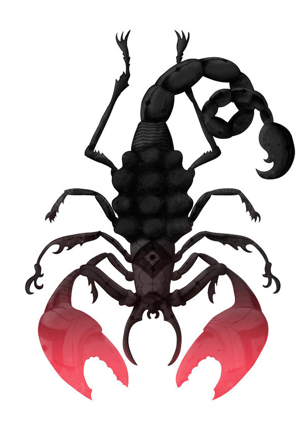 Escorpião by Estúdio Self #bug #claws #scorpion #insect #illustration