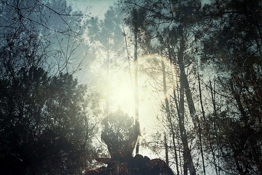 Featured Photography Portfolio – Ana Cabaleiro | 01 Magazine #hush #cabaleiro #fade #nature #arbors #ana #trees