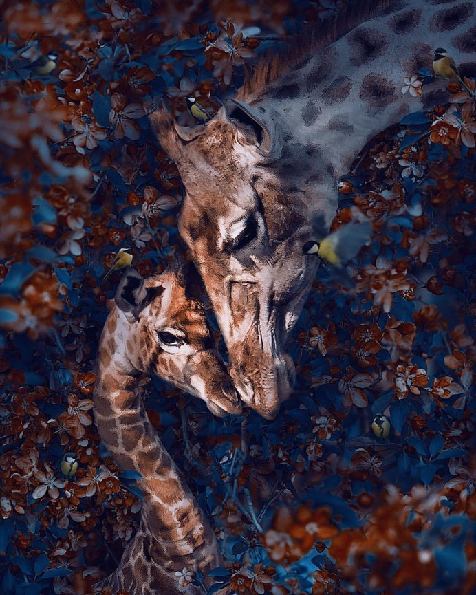 Surreal and Dreamlike Photo Manipulations by Andreas Häggkvist