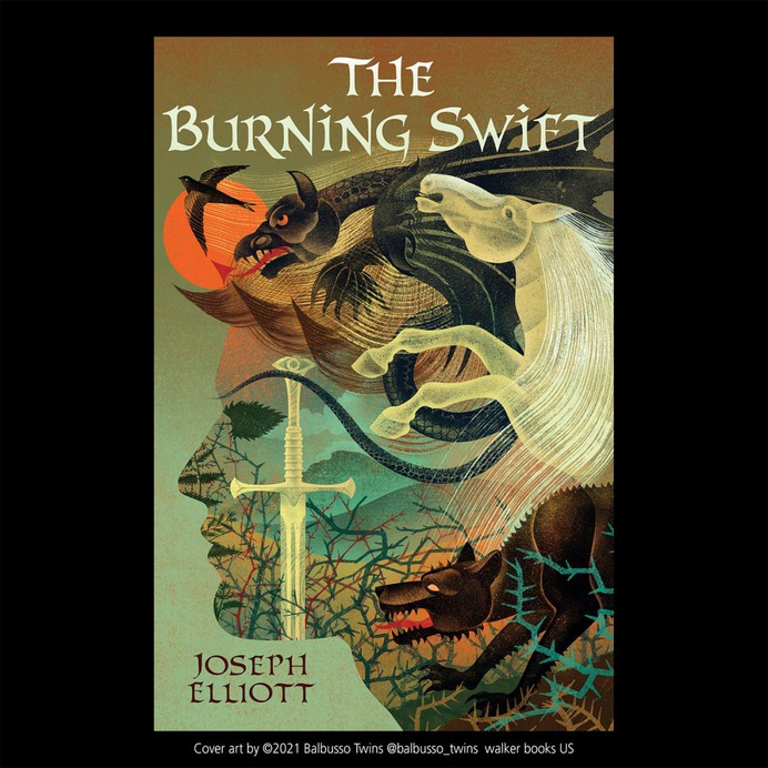The Burning Swift cover art