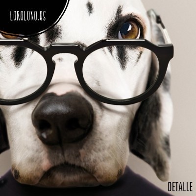 #animals #clothe #fashion #dog