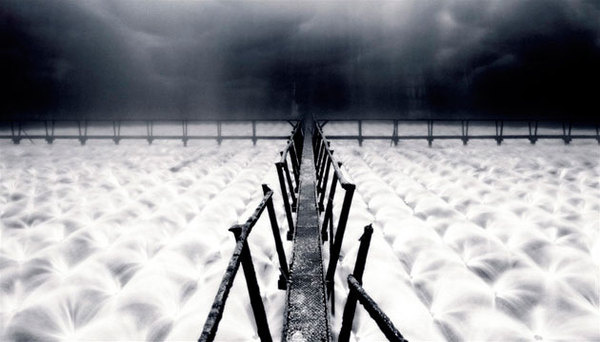Johann Ryno de Wet #photography