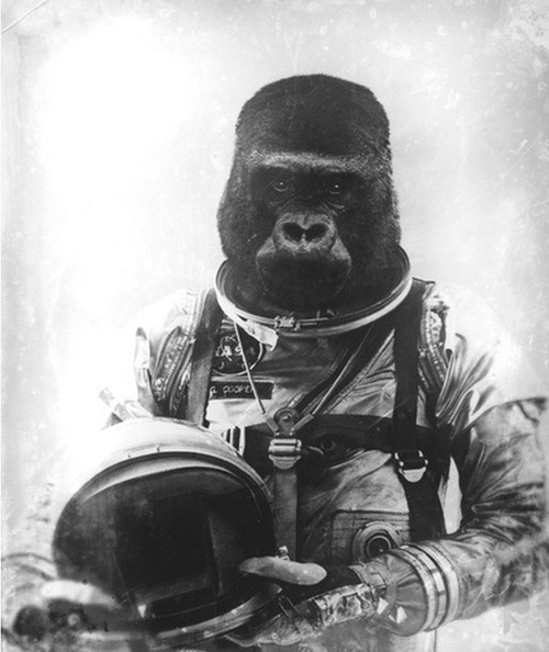 Art for Amy #spaceman #ape