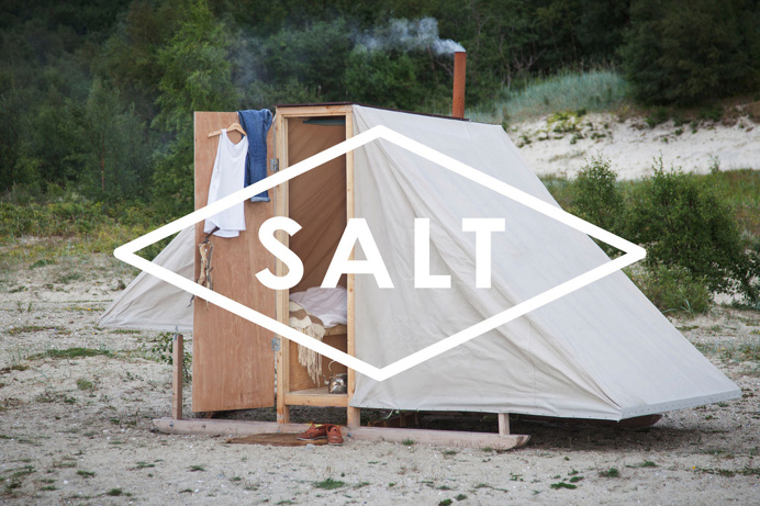salt logo