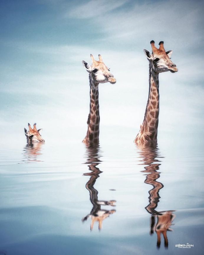 Eben McCrimmon Creates Surreal Fantasy Worlds Using Only His iPhone