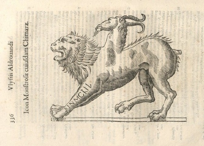 000346 #naturalism #aldrovandi #illustration #latin #ulisse #monster #drawing