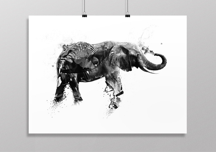 Selvagens by alcalay. art director / designer #print #elephant #illustration #animal #manipulation #art #bw