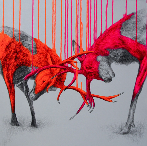 Fluorescent Mixed Media Animals by Louise McNaught #white #red #black #and #animal