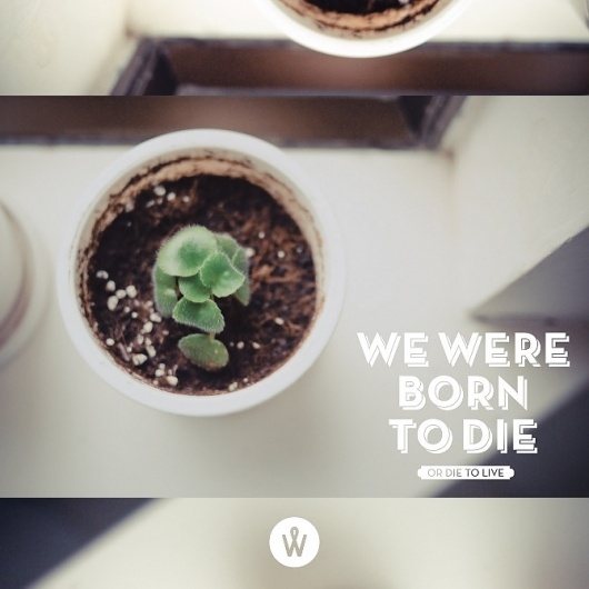 PHOTO QUOTE / January - PHOTO QUOTE #photoquote #quote #photo #design #graphic #alanderwong #typography