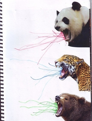 6368c039b2977301cdf7a4a541b0d662cffb5358_m.jpg (365×480) #animals