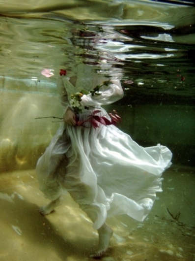 Irene Barry - www.irenebarry.com #barry #ireland #irene #photography #artist #underwater #flowers