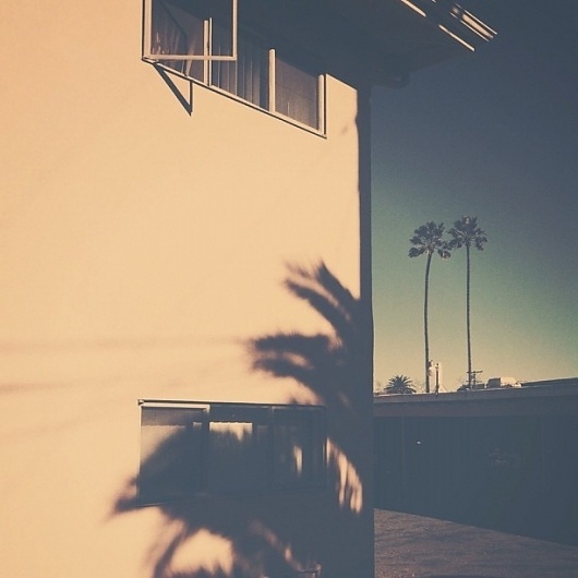 Palm Trees | Flickr - Photo Sharing! #b3po #palm #california #instagram #photography #trees