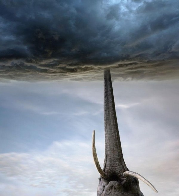 Photo Manipulations by Dariusz Klimczak #inspiration #photo #photography #manipulations