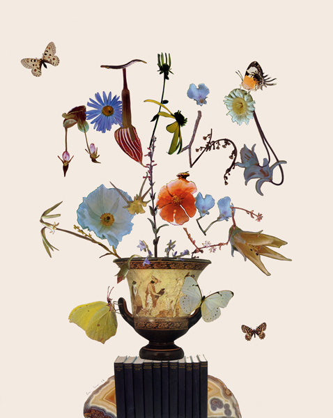 Collages by Alexis Anne Mackenzie #collage