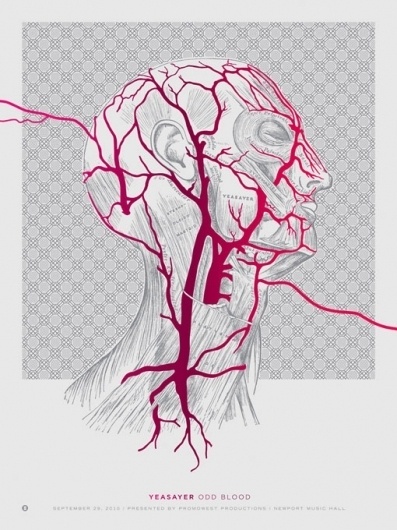 design work life » Base Art Co. Posters #illustration #design #anatomy
