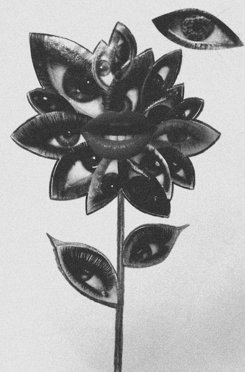 http://jencheema.tumblr.com/post/27198709344 #flower #eye