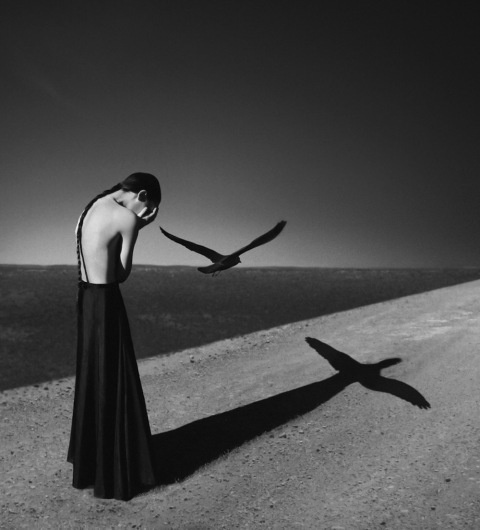 Noell S. Oszvald | PICDIT #photo #photography #white #black