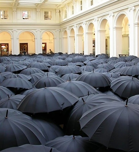 Solid frog #umbrellas