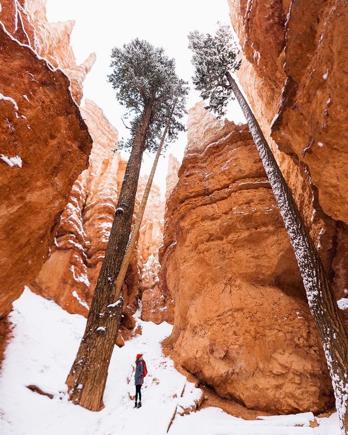 Beautiful Travel Landscape Photography by Quin Schrock